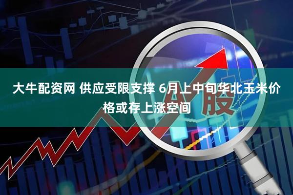大牛配资网 供应受限支撑 6月上中旬华北玉米价格或存上涨空间