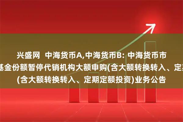 兴盛网 中海货币A,中海货币B: 中海货币市场证券投资基金A类基金份额暂停代销机构大额申购(含大额转换转入、定期定额投资)业务公告