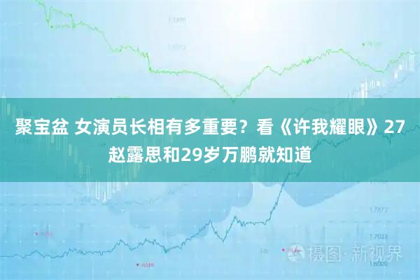 聚宝盆 女演员长相有多重要？看《许我耀眼》27赵露思和29岁万鹏就知道