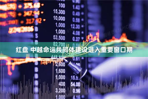 红盘 中越命运共同体建设进入重要窗口期