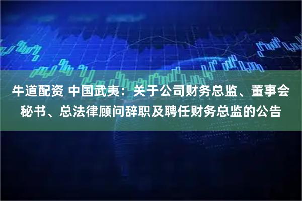 牛道配资 中国武夷：关于公司财务总监、董事会秘书、总法律顾问辞职及聘任财务总监的公告