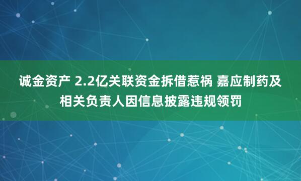 诚金资产 2.2亿关联资金拆借惹祸 嘉应制药及相关负责人因信息披露违规领罚