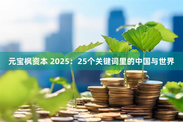元宝枫资本 2025:25个关键词里的中国与世界