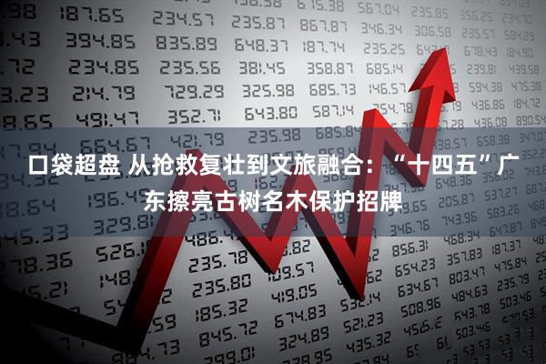 口袋超盘 从抢救复壮到文旅融合:“十四五”广东擦亮古树名木保护招牌